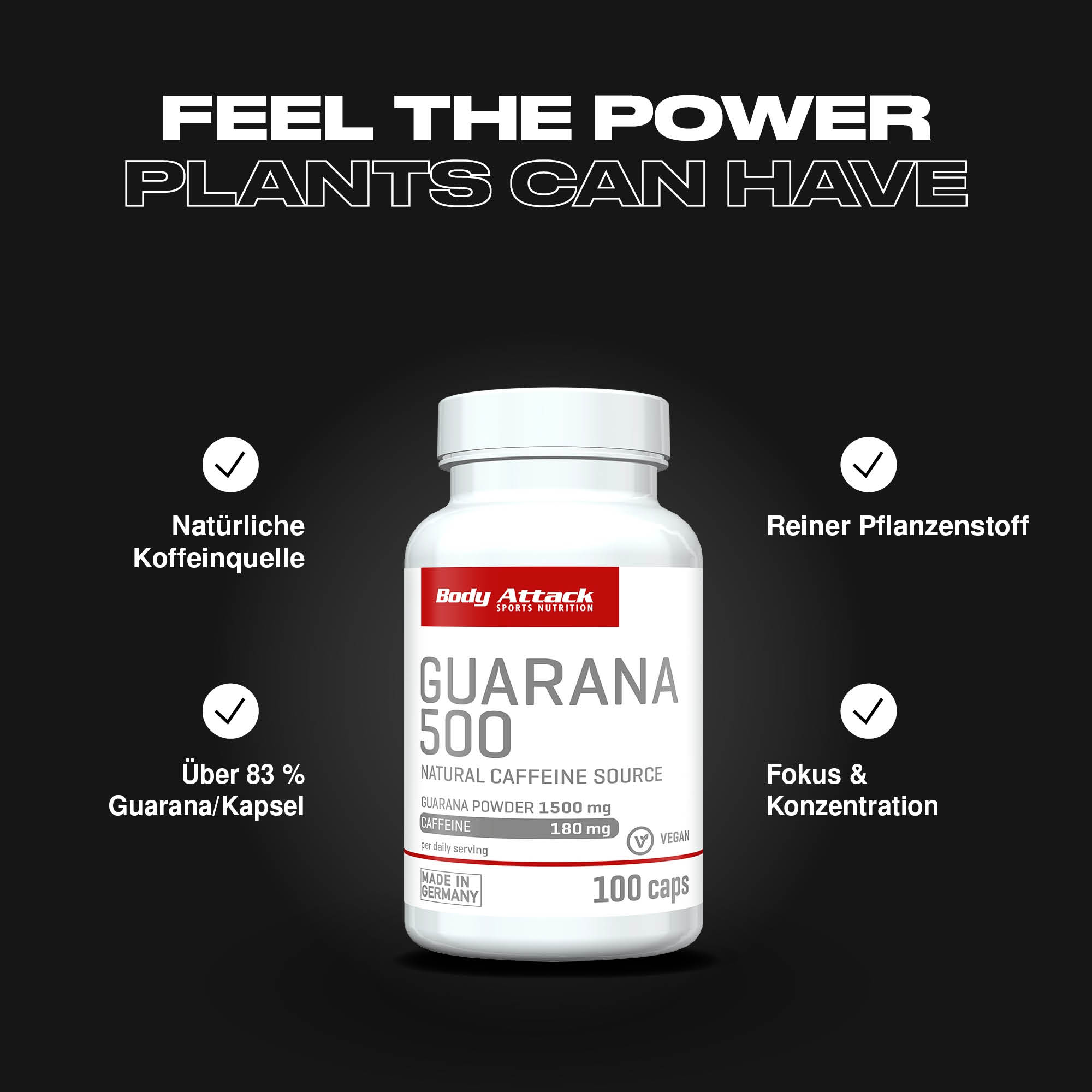 Guarana 500 Informationsbanner