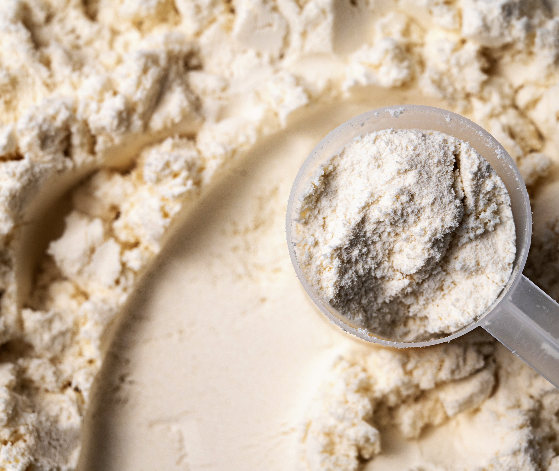 Proteinpulver ein Scoop im Vordergrund