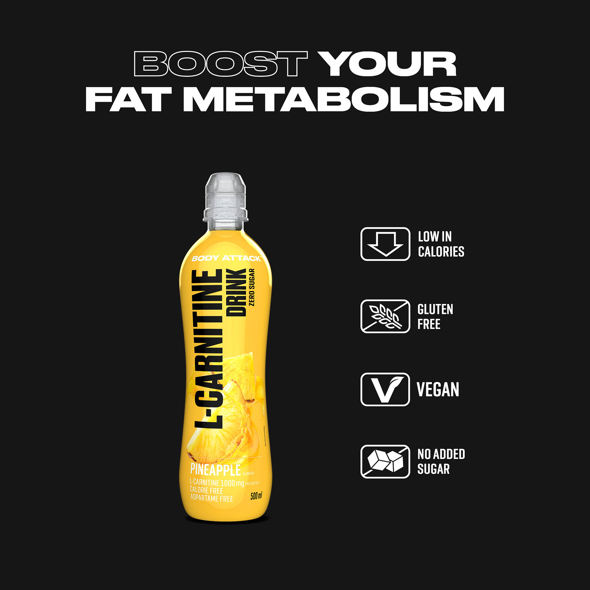 L-Carnitine Drink Informationsbanner