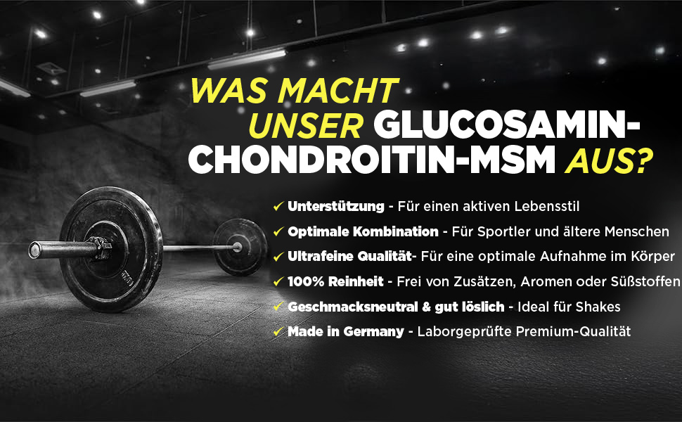 Glucosamin Chondroitin MSM 